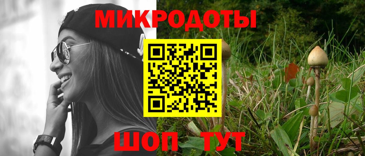 Псилоцибиновые грибы GOLDEN TEACHER Москва