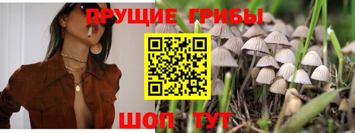 Москва  Галлюциногенные грибы Cubensis  Вход с VPN  закладка  Галлюциногенные грибы GOLDEN TEACHER 